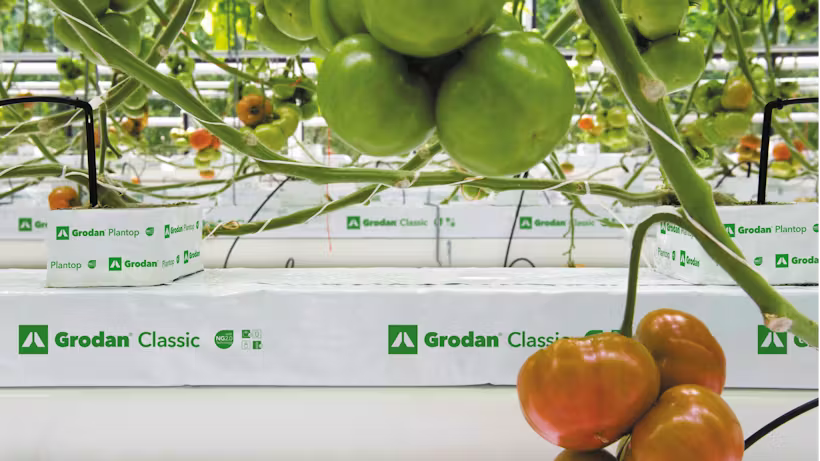 Grodan Classic Slab Vegetable Growing Rock Wool Hydroponics Substrate