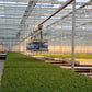 Viscon Monorail Greenhouse Internal Transport