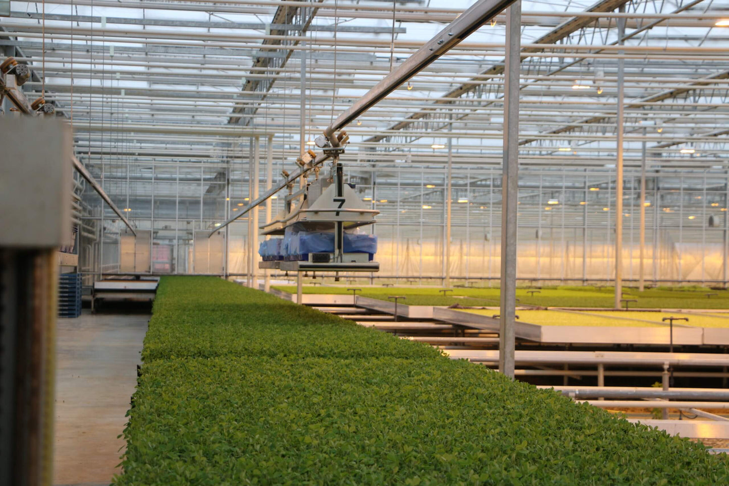 Viscon Monorail Greenhouse Internal Transport