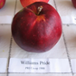 William’s Pride Apple