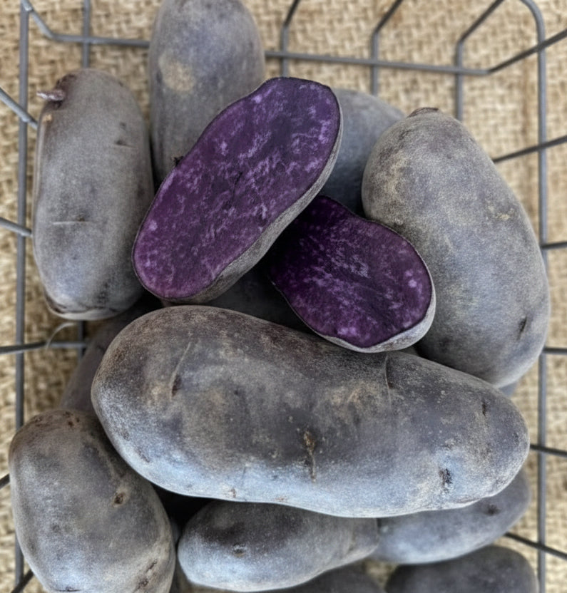 Midnight Purple Potato online shopping