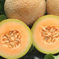Tasty Bites F1 Melon