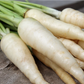 Lunar White Carrot