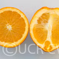 Spring Navel Orange Budwood citrus plant material online shopping