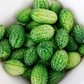 Cucamelon Cucumber