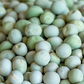 Alaska Shelling Pea
