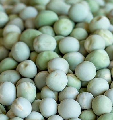 Alaska Shelling Pea