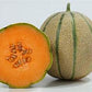 Tirreno F1 Organic Melon