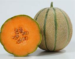 Tirreno F1 Organic Melon