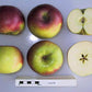 Sandow Heirloom Apple