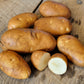 Caribou Russet Seed Potato online shopping