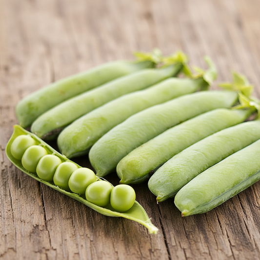 Bolero Shelling Pea Seeds online shopping