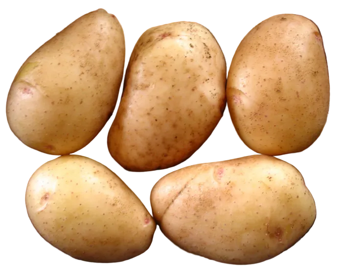 Alta Blush Potato online shopping