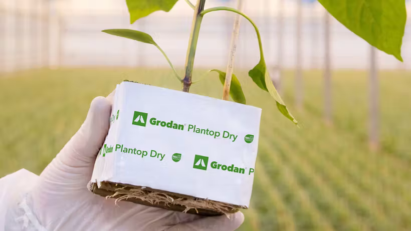 Grodan Plantop Dry Block Propagation Rock Wool Hydroponics Substrate