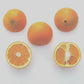 Gillemberg Navel Orange Budwood citrus plant material online shopping