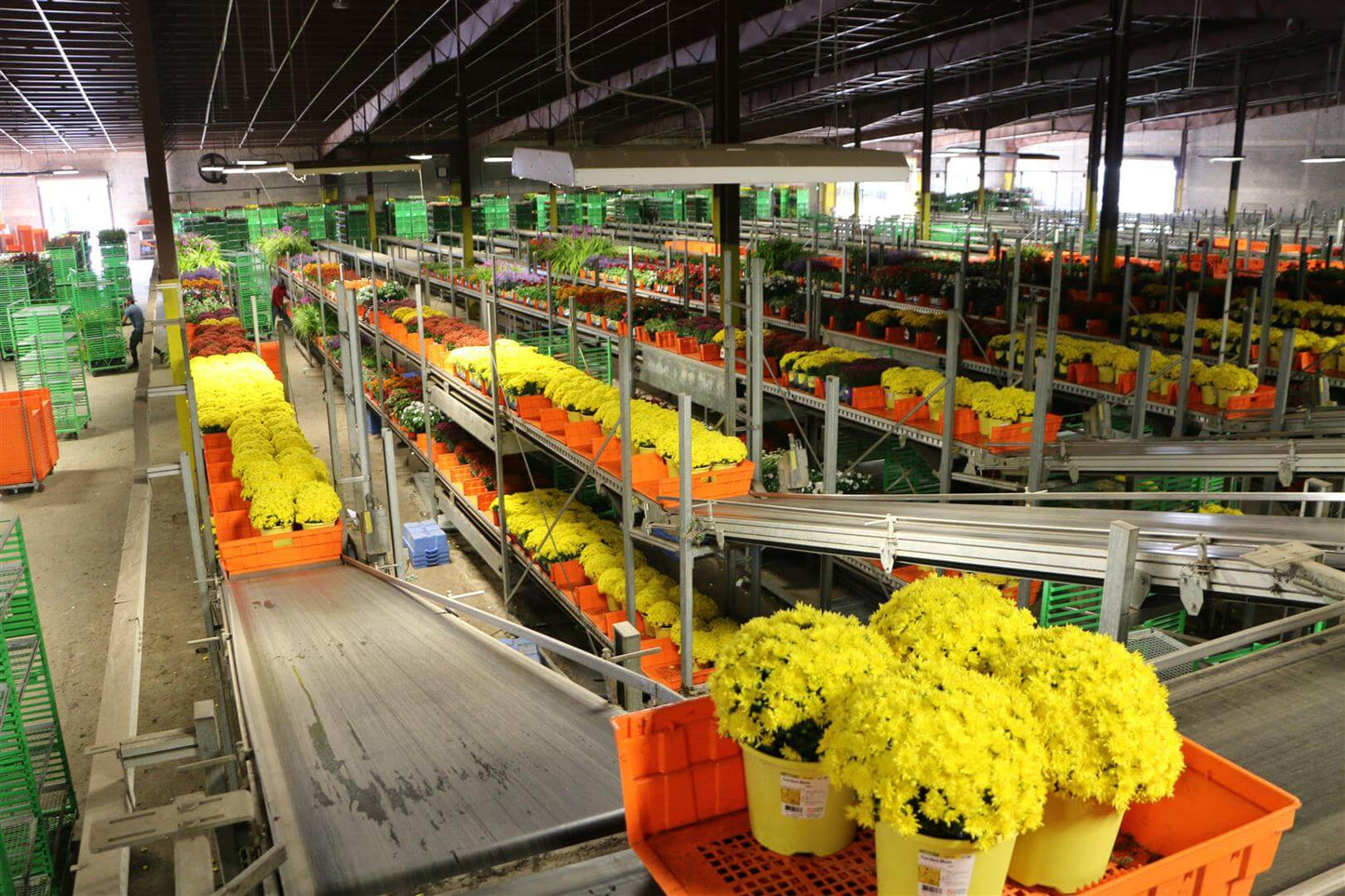 Viscon Buffering & Shipping Internal Transport Automation