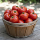 Mountain Magic Tomato
