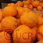 Kara Mandarin Budwood citrus plant material online shopping