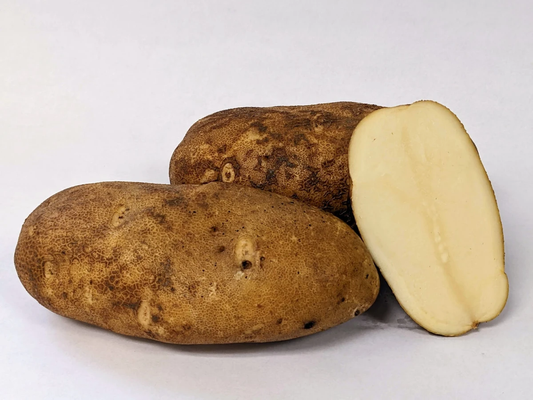 Caribou Russet Seed Potato online shopping