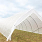 Cropking Free Standing Caterpillar Growing Tunnel Polytunnel Greenhouse