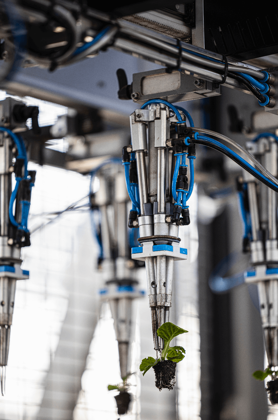 Viscon Pic O Mat Greenline Transplanter