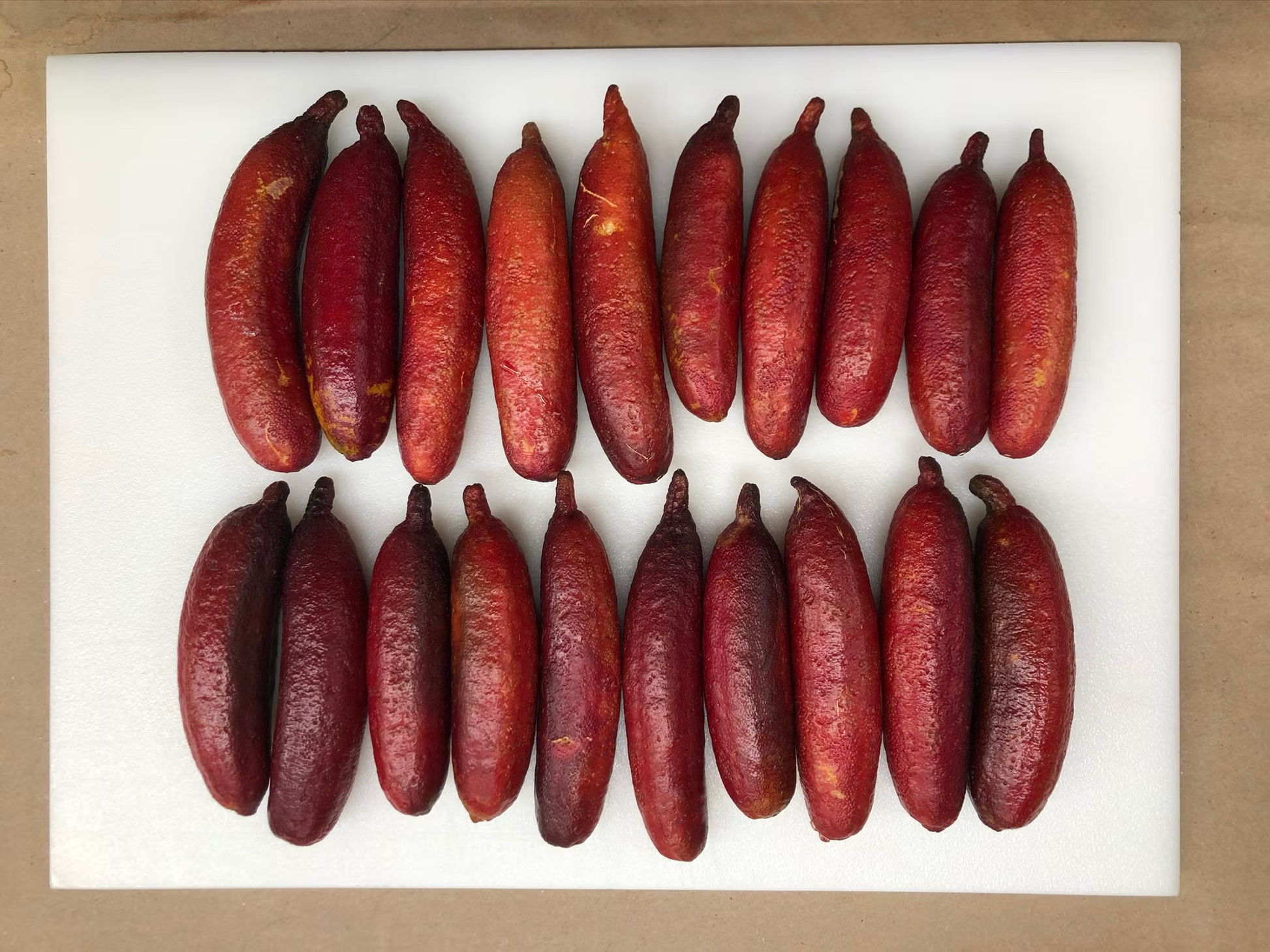 Ruby My Dear Australian Finger Lime Budwood citrus plant material online shopping