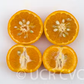 Honey Mandarin Budwood citrus plant material online shopping