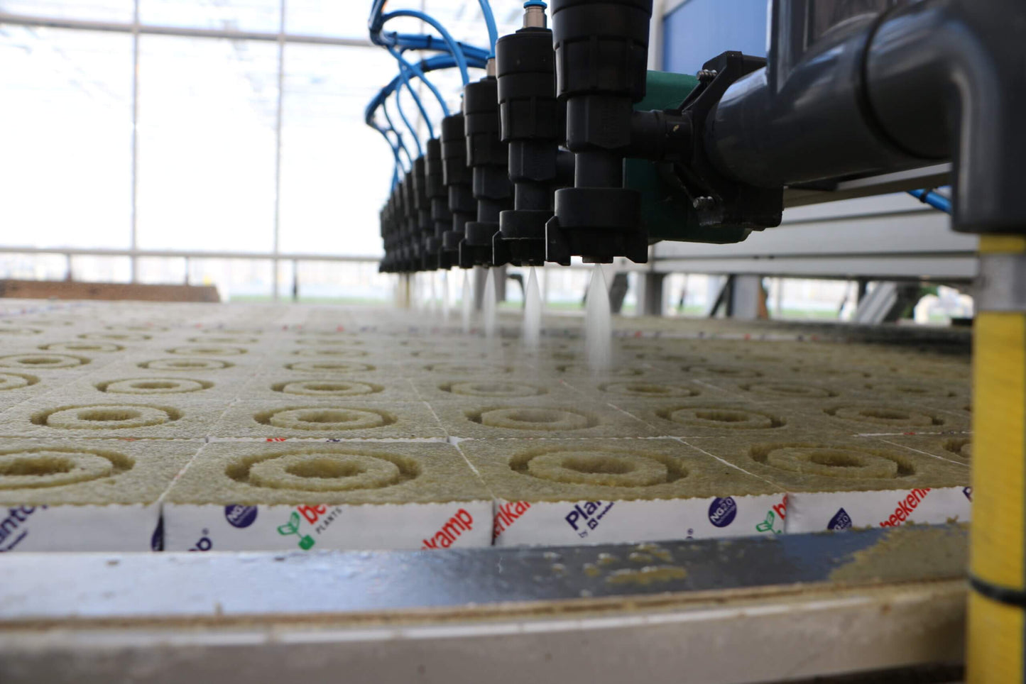 Viscon Watering and Covering Line