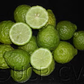 Citrus Hystrix Kaffir Lime Papeda Budwood citrus plant material online shopping