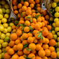 Nova Mandarin Budwood citrus plant material online shopping