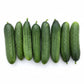 Manny F1 Organic Cucumber