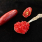 Misterioso Australian Finger Lime Budwood citrus plant material online shopping