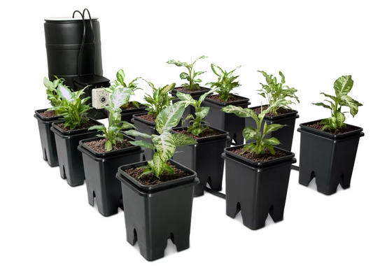 Active Aqua Grow Flow Ebb and Flow Hydroponic System Kit