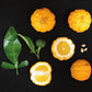 Benton Citrange Seed citrus plant material online shopping