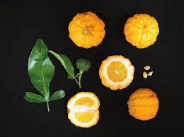 Benton Citrange Seed citrus plant material online shopping