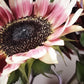 Cherry Rose F1 Sunflower Seeds online shopping