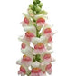 Potomac Appleblossom F1 Snapdragon Seeds online shopping