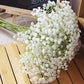 Baby's Breath Gypsophila Seeds online shopping