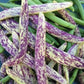 Dragon Tongue Drying Bean Seeds online shopping