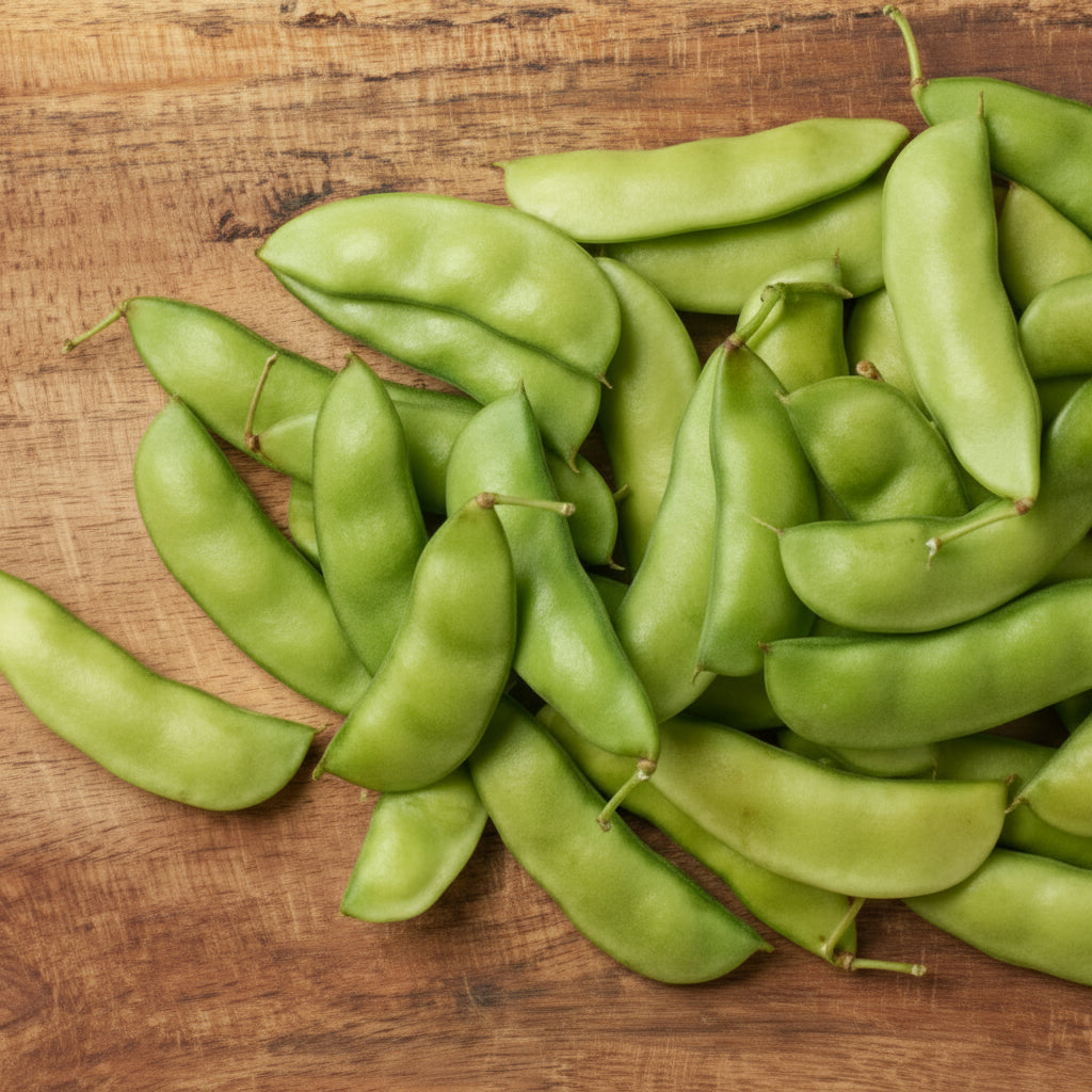 Early Thorogreen Drying Bean Seeds online shopping