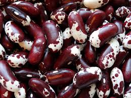 Jacob's Cattle Drying Bean Seeds online shopping