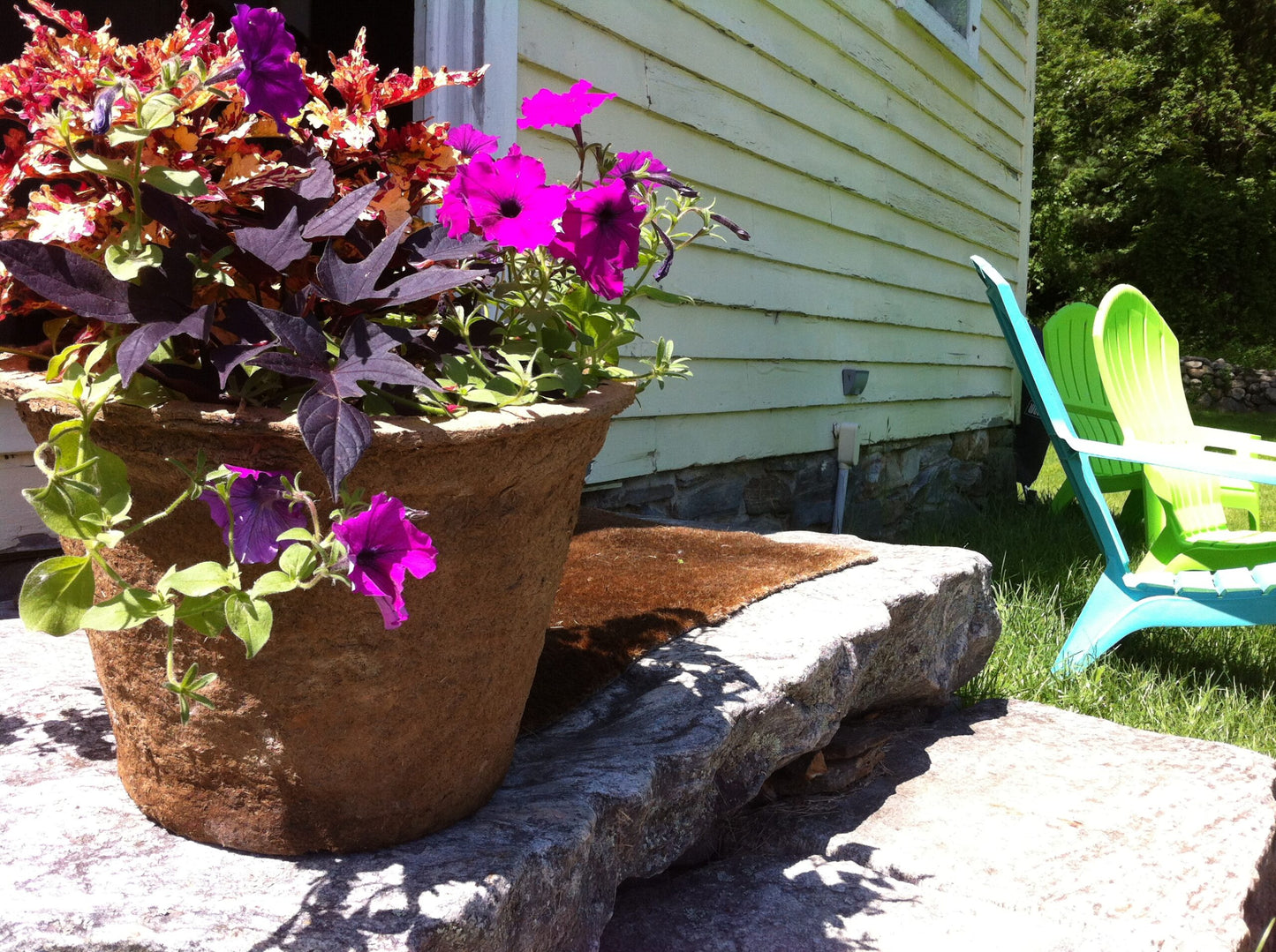 CowPot #17 Round Plantable Pot