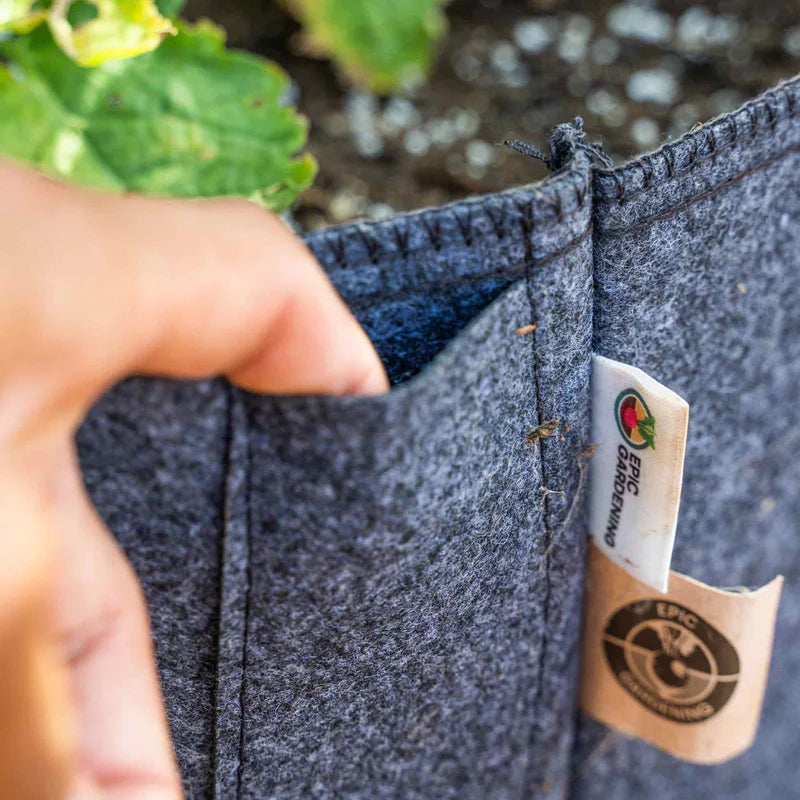 Felt plant grow bags with irrigation line holders.
