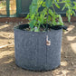 Felt plant grow bags with irrigation line holders.