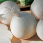 Snowball White Onion
