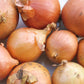 Sturon Spanish Onion