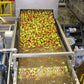 Aweta Pear Sorting and Packing Line