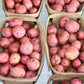 Sangre Red Skinned Potato Plants online shopping