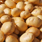 Sieglinde Heritage Gourmet Potato Plants online shopping