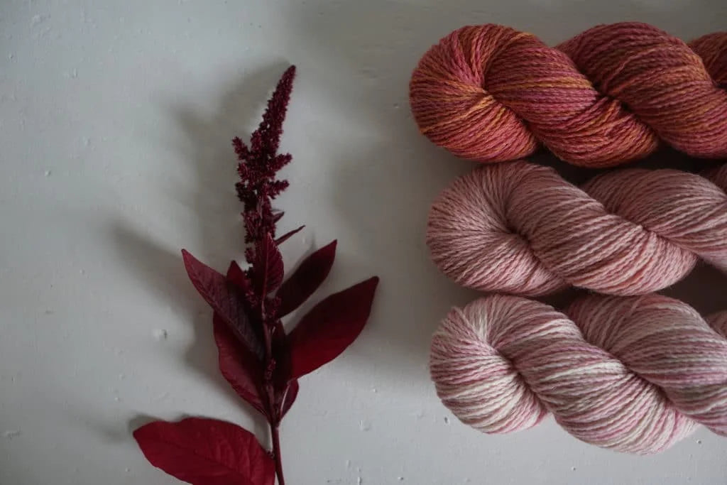 Hopi Red Dye Amaranth Seeds online shopping